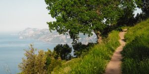 Explore a serene coastal trail with lush greenery and panoramic views in Praiano, Italy.